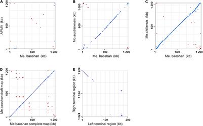 Hybrid Sequencing Resolved Inverted Terminal Repeats in the Genome of Megavirus Baoshan